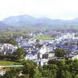 梅塢村(浙江麗水市景寧縣雁溪鄉下轄村) 梅塢村(浙江麗水市景寧縣雁溪鄉下轄村)