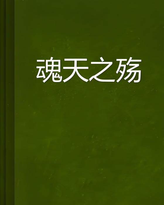魂天之殤 魂天之殤