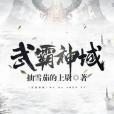 武霸神域 武霸神域