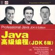 Java高級編程（JDK6版）