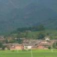 普草箐村 普草箐村