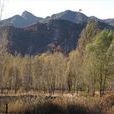 彭家窯村(北京延慶縣永寧鎮下轄村) 彭家窯村(北京延慶縣永寧鎮下轄村)