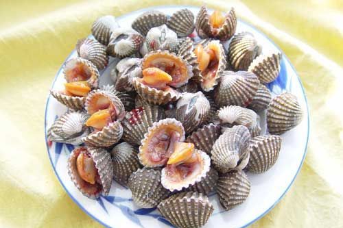 奉化搖蚶子