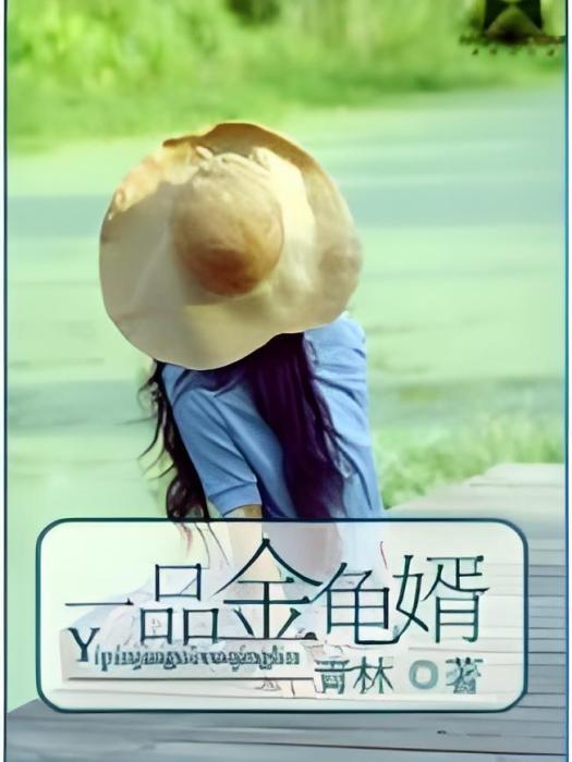 一品金龜婿 一品金龜婿