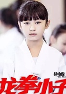 龍拳小子(2016年劉芮麟、童菲主演功夫喜劇電影)