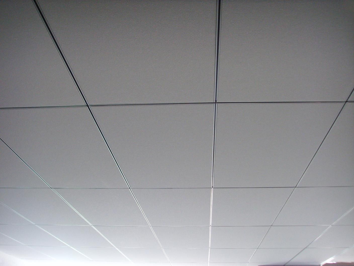 天花板(建築物室內頂部表面的地方)