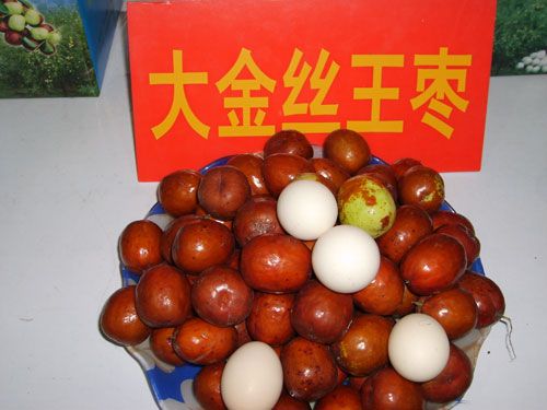 大金絲王棗 大金絲王棗