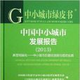中國中小城市發展報告/中小城市綠皮書