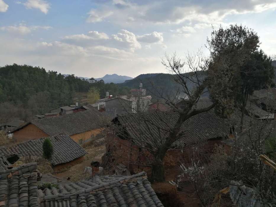 浦院村 浦院村