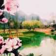 水湄花谷 水湄花谷