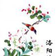 洛陽情事 洛陽情事