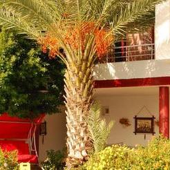 Carna Garden Hotel Carna Garden Hotel