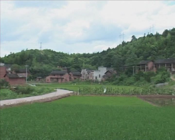 鳳岐坪鄉 鳳岐坪鄉