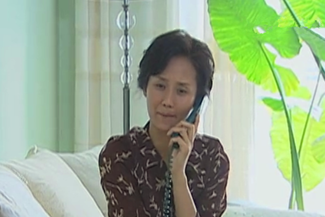 汪敏(家庭倫理劇《一顆顆眼淚都是愛》中的角色) 汪敏(家庭倫理劇《一顆顆眼淚都是愛》中的角色)