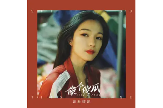 像個傻瓜(杜婷呢演唱的歌曲) 像個傻瓜(杜婷呢演唱的歌曲)