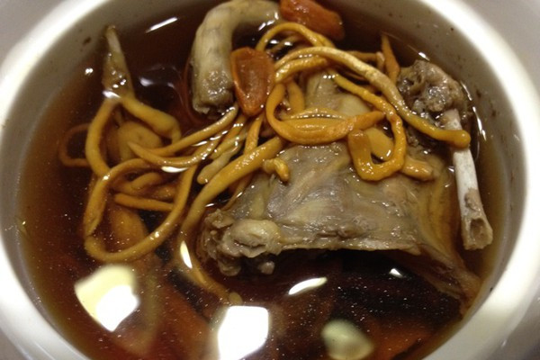 蟲草鵪鶉 蟲草鵪鶉