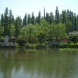 福井市 福井市