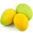 凱特芒果 凱特芒果