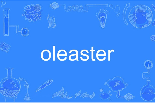oleaster oleaster