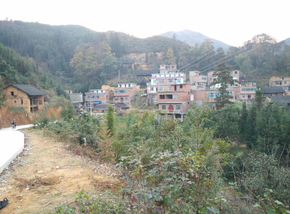 偉外村 偉外村