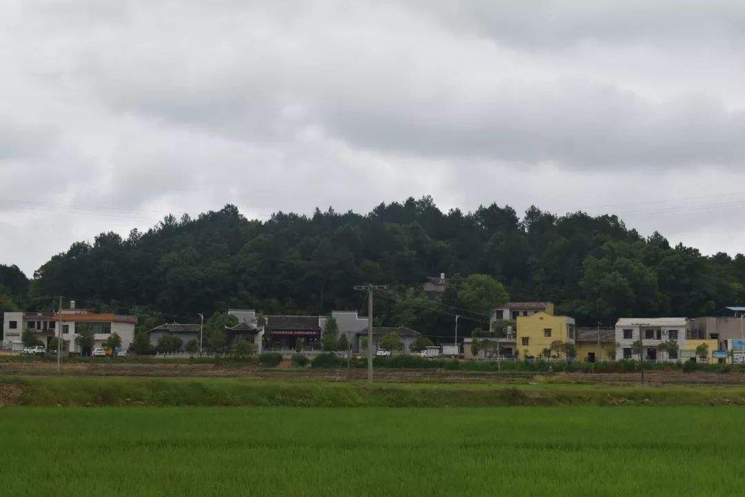 泉湖村