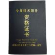 副高職稱(副高(專業技術職務任職資格)) 副高職稱(副高(專業技術職務任職資格))
