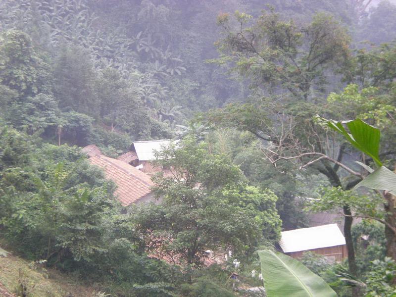 李麻山村 李麻山村
