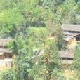 地房丫口村 地房丫口村