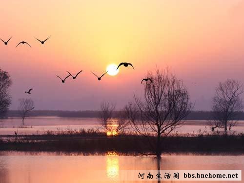 鄭州龍西湖文博森林公園