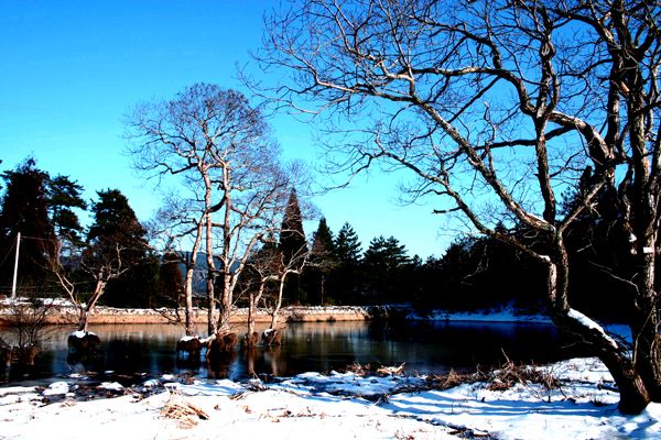 草魚塘公園