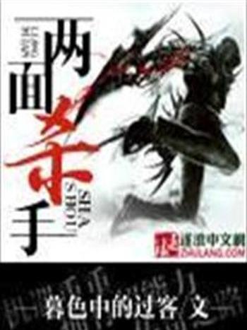 兩面殺手 兩面殺手
