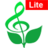 印度拉格音樂 印度拉格音樂