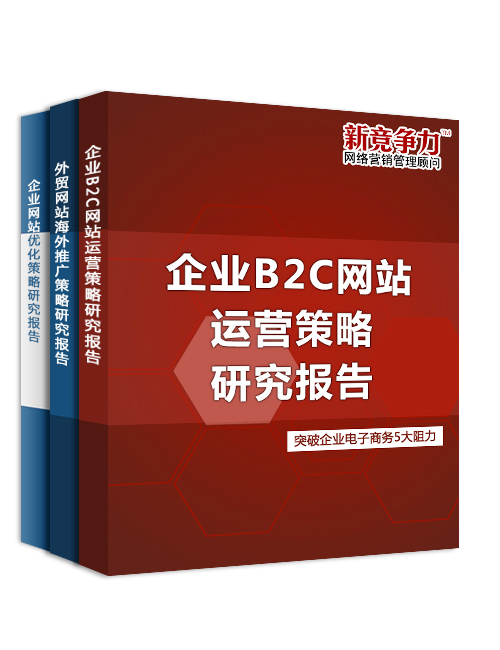 企業B2C網站運營策略研究報告