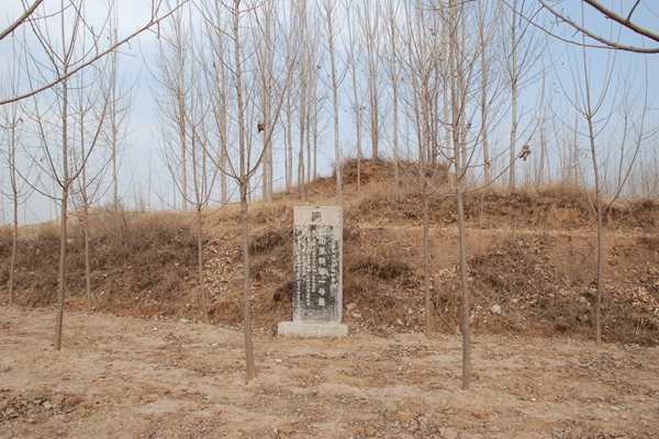 防山墓群 防山墓群