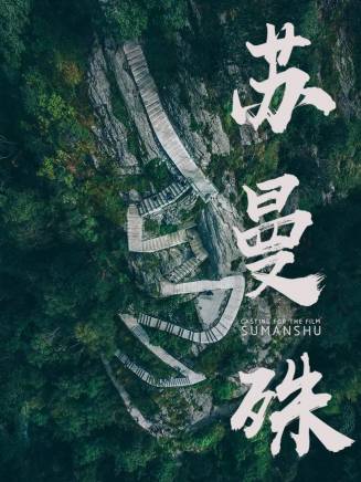 王智 王智