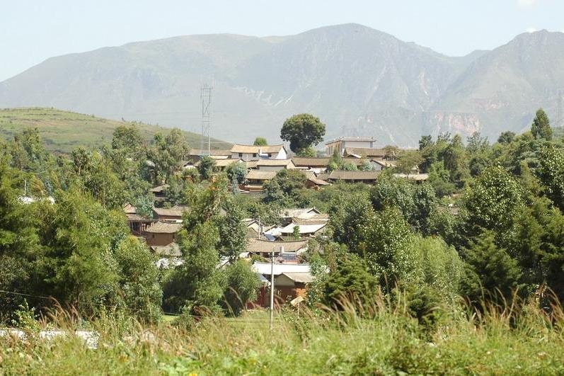 巡檢村 巡檢村