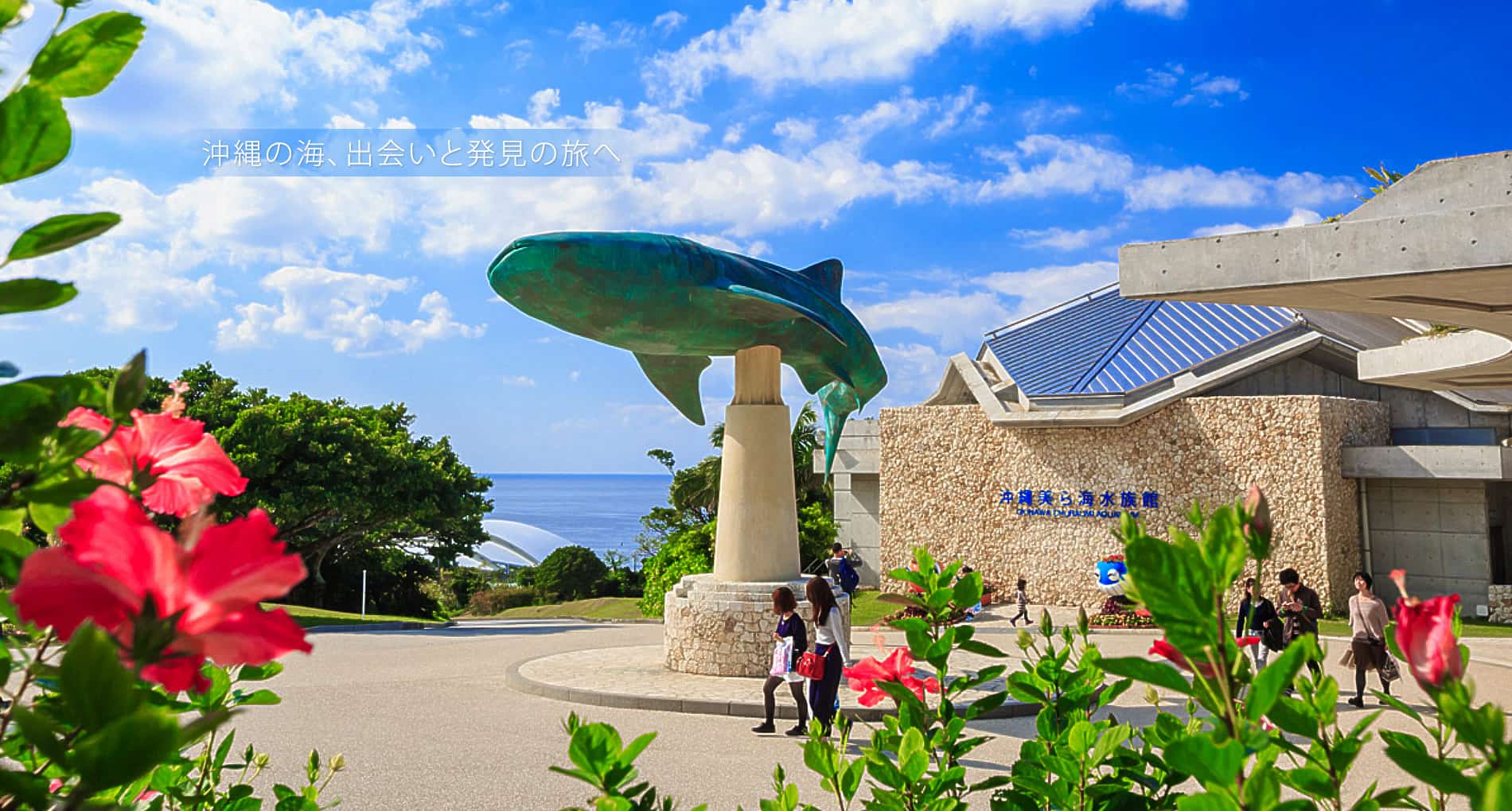 沖繩美之海水族館