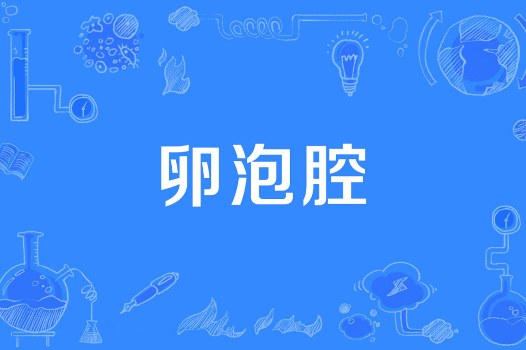 卵泡腔 卵泡腔
