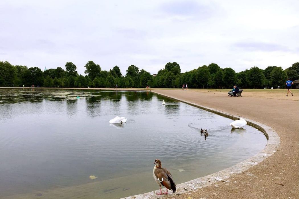 肯普頓公園 肯普頓公園