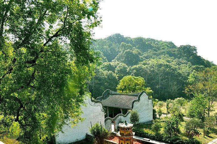 靜福山 靜福山