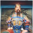 傅僉(三國時蜀漢將領) 傅僉(三國時蜀漢將領)