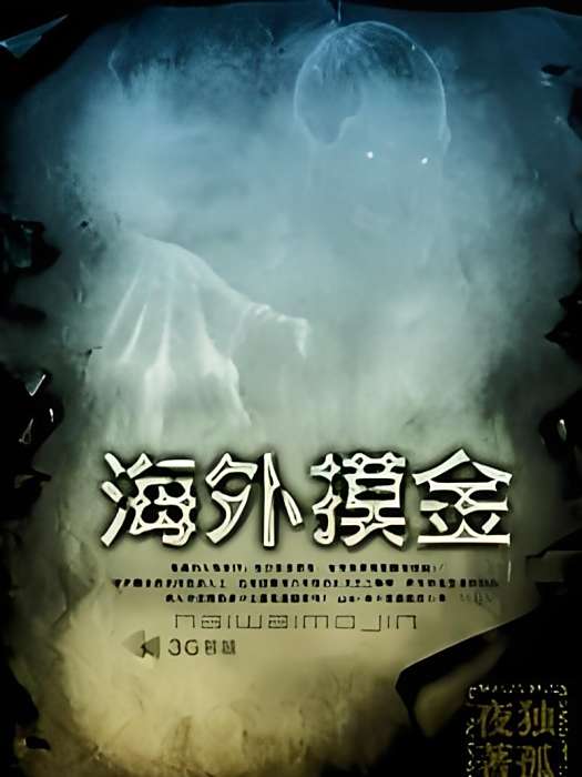 海外摸金