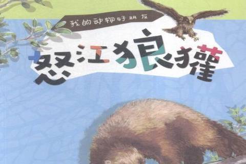 怒江狼獾 怒江狼獾