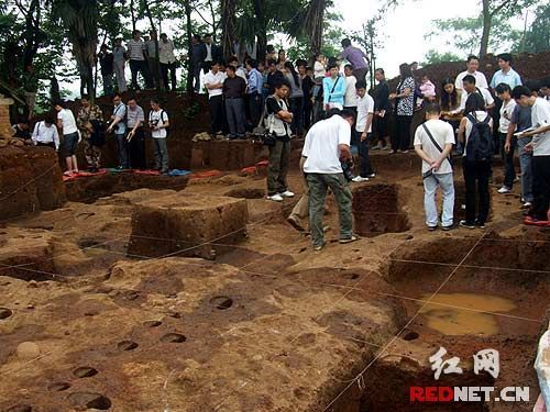 望子崗遺址 望子崗遺址