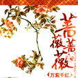 薔薇薔薇 薔薇薔薇