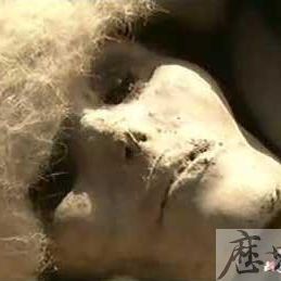 樓蘭古國(樓蘭國)