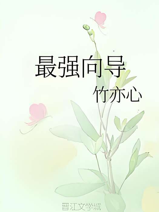 最強嚮導 最強嚮導