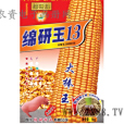 綿研玉13 綿研玉13