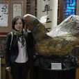 李晶晶(皮划艇激流運動員)