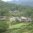 箭乾場村 箭乾場村